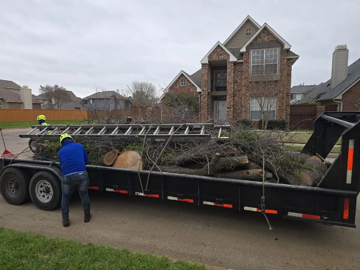 Expert Tree Fertilization with proper safety equipment in Port Washington